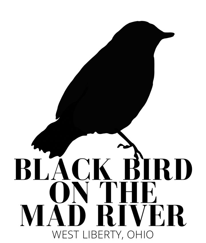Black Bird Airbnb on the Mad River West Liberty Ohio